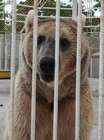 پارک و شهربازی باغلارباغی — عکس ۵